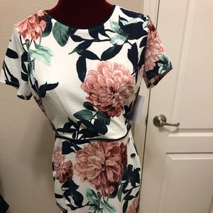 Enfocus Size 6 Floral dress